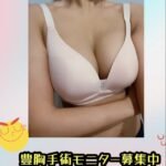 ?豊胸・美胸 ?モニター募集 ?無料通訳相談  　　 　　　　　　　　 　　　　　   　　