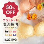 【50%OFF】アウトレット！  「着け心地」と「補正力」を叶える贅沢脇肉キャッチャーブラジャー！  脇肉をしっかりキャッチして胸を寄せ上げる脇高設計で、盛れるブラとしてもおすすめ。  可愛いデザインもポイントです。        a.